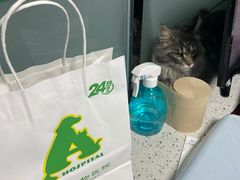 -半岛宠物医院24小时(科华中路店)