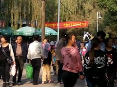 -迎泽公园