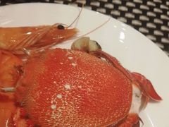 -Social 秀西餐厅-长沙瑞吉酒店(运达店)