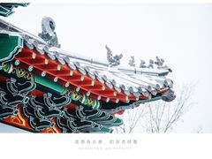 -山东大学(洪家楼校区)