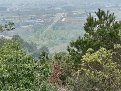 -游子山休闲旅游区