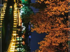 -桂林市榕杉湖景区