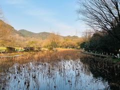 -八卦田遗址公园