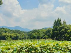 -清漾毛氏文化村