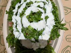 -油梨树AVOCADO TREE(顺义新国展店)