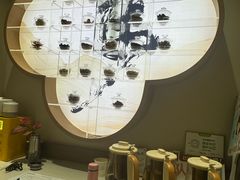 -长风拨筋养身(蟠龙天地店)