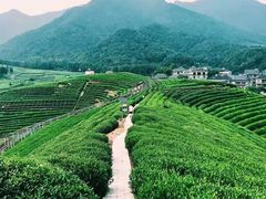 -听风阁农家私房菜茶楼(龙坞店)