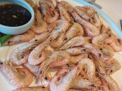 白灼蛎虾-开海·红岛海鲜虾水饺(石老人店)
