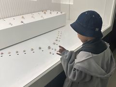 -青岛贝壳博物馆