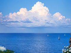-大湾区中央湿地公园