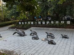 -广东惠东海龟国家级自然保护区