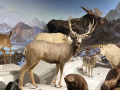 -陕西自然博物馆