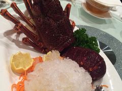 iphone_upload_pic-星城海鲜酒家