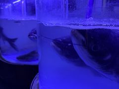 -匠岳·王宝器麻椒鱼(会展中心店)
