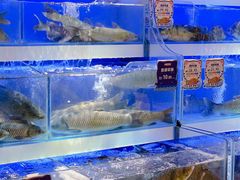 -伊藤洋华堂(温江店)