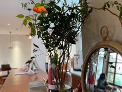 -有猫主题·治愈系猫咖(曾厝垵店)