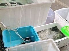 -李东农庄(中南百草园地标店)