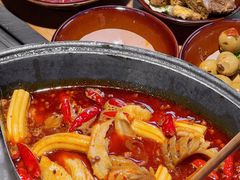 -阳阳老火锅(小南门店)