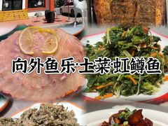 -向外鱼乐·土菜·虹鳟鱼