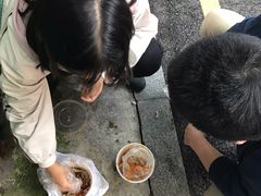 -嘉州九妹凤爪(乐山总店)