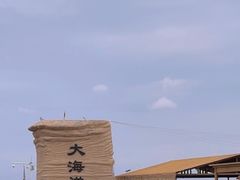 -哈密雅丹大海道景区