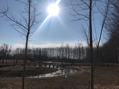-东郊湿地公园