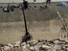 -东疆建设开发纪念公园
