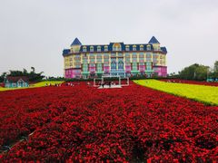 -百万葵园