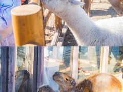 -茅山东方盐湖城景区