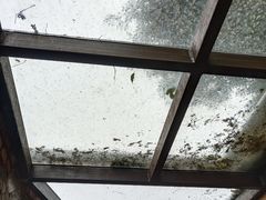 -VOYAGE COFFEE(北锣鼓巷店)