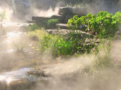 -东莞植物园