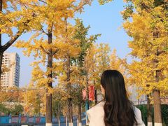 -重庆市江北嘴中央商务区中央公园