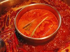 -蜀九香火锅(李家沱店)