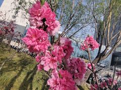 -大兴滨河森林公园