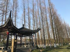 -江心屿景区