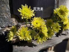 -寂照庵