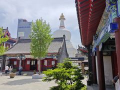 -西塔