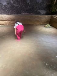 -造物庄园 萌宠纪(苏州湾歌林公园店)
