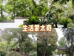 -大渡口区义渡公园