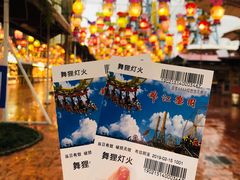 -锦江乐园舞狸花花游园会(夜场专享)
