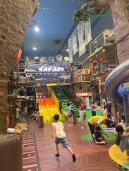 -卡通尼·Safari非洲探索乐园·生日会(金桥国际商业广场店)