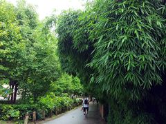 -贵阳市花溪国家城市湿地公园