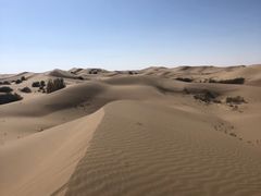 -亿利库布其七星湖沙漠生态旅游区