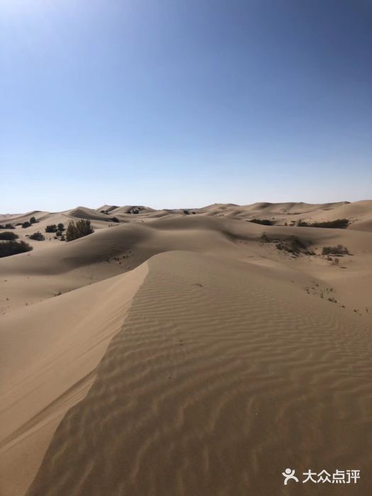 亿利库布其七星湖沙漠生态旅游区图片