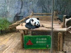 -深圳野生动物园