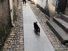-崇仁古镇