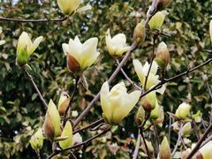 -白塘生态植物园