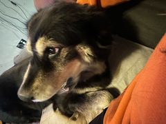 -抱暴龙爬宠·异宠·撸宠撸爬主题馆(大学路店)