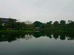 android_upload_pic-大湾区中央湿地公园