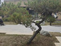 -汉长安城未央宫国家考古遗址公园